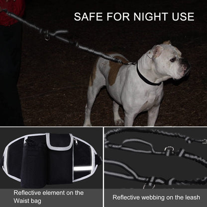 Shock Absorbing Bungees Reflective Dog Leash