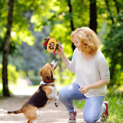 Dog Fetch Toy With Straps