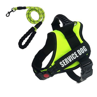 Rugged Nylon Handle Dog Harness