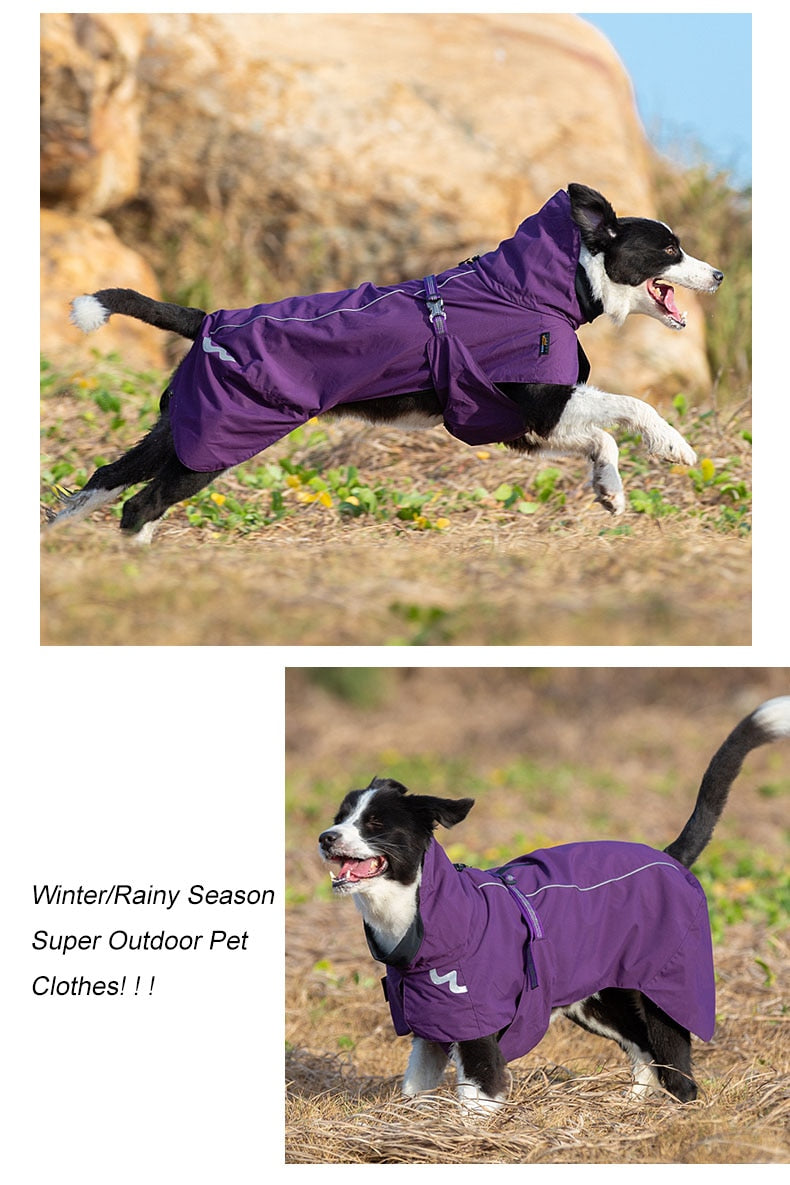 3M Reflective Purple Dog Raincoat