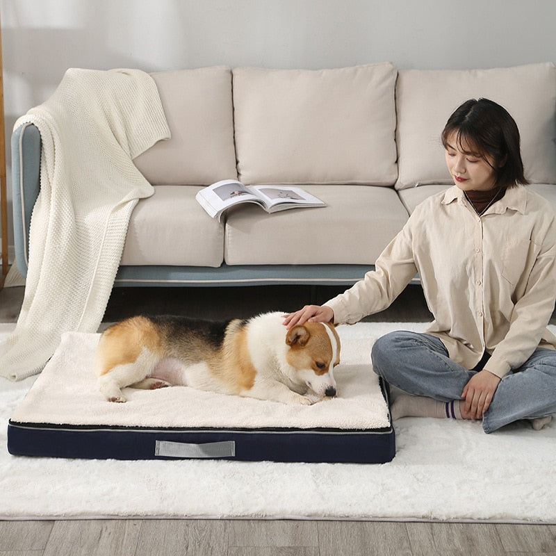 Premium Memory Foam Dog Bed