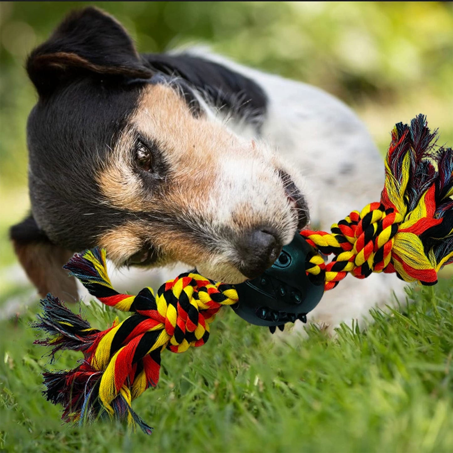 Heavy Duty Dental Dog Rope Toys