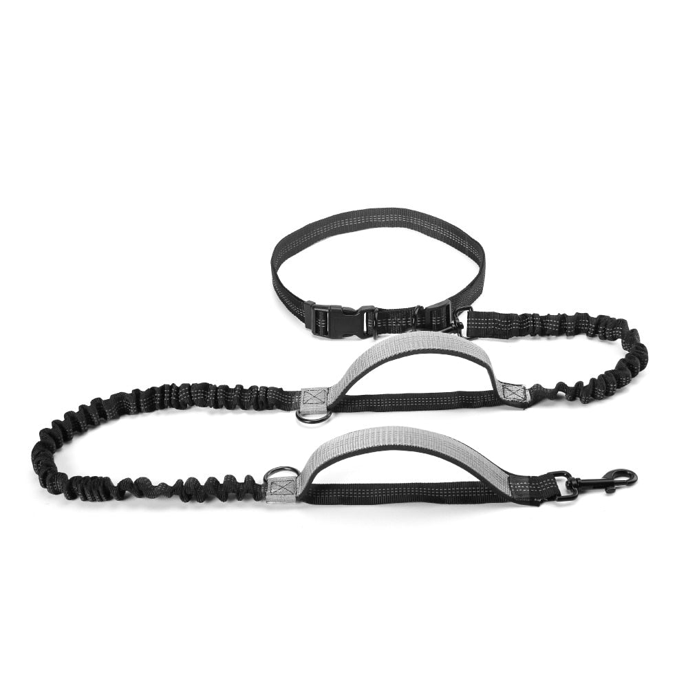 Reflective Dual Handle Bungee Dog Leash