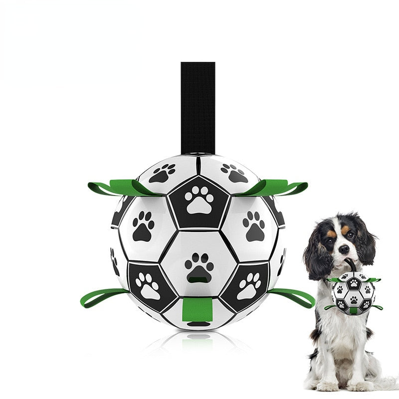 Interactive Outdoor Dog Soccer Ball