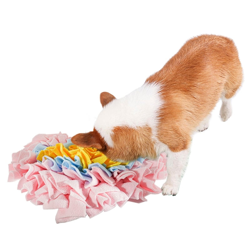 Heart Shape Dog Snuffle Mat