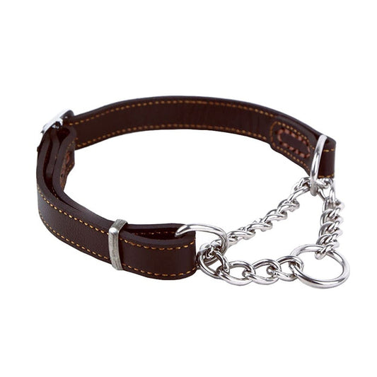 Martingale Leather Dog Collar