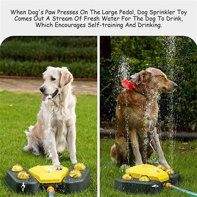 Outdoor Dog Sprinkler Water Fountain
