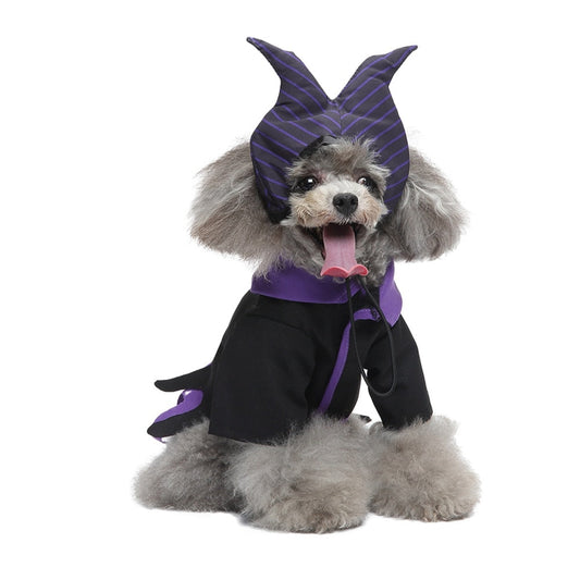 Halloween Cute Wizard Pets Costume