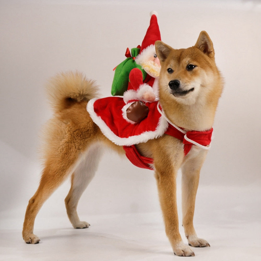 Santa Claus Riding Dog Christmas Costume