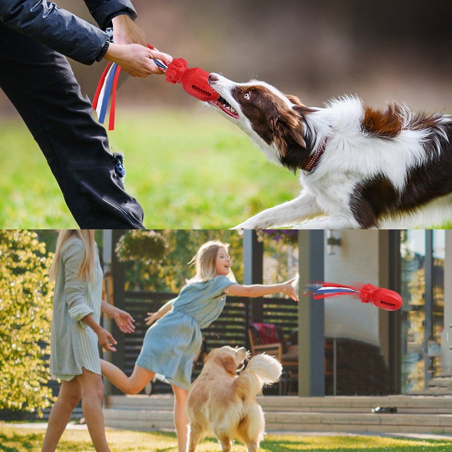 Beef Flavor Bomb Shape Dog Toys