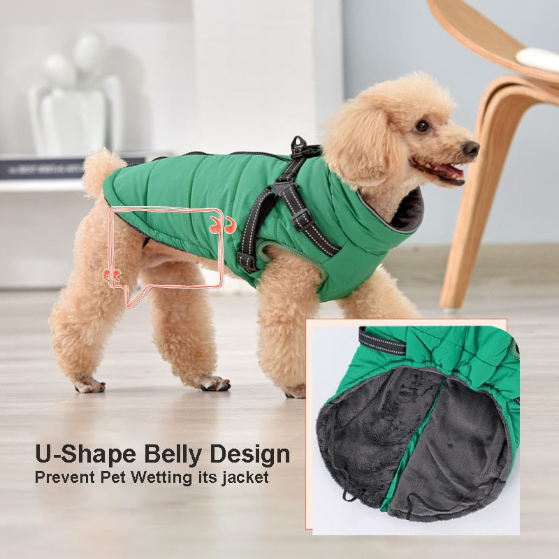 Down Cotton Warm Dog Coats