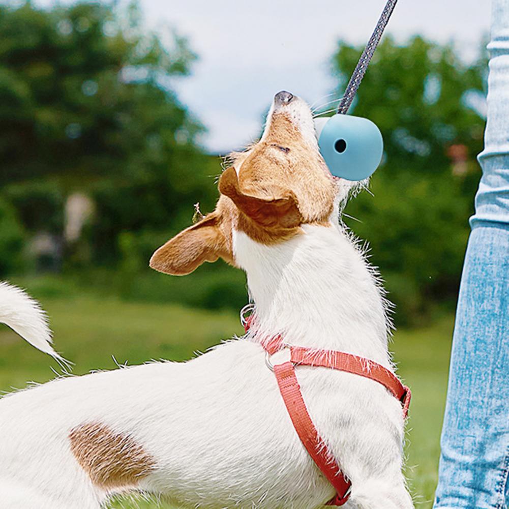 Interactive Silicone Ball Dog Toy