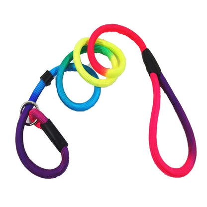 Rainbow Dog Nylon Rope Training Leash