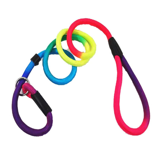 Rainbow Dog Nylon Rope Training Leash