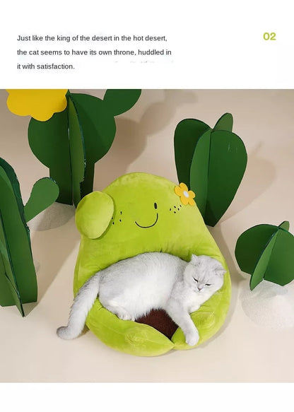 Desert Cactus Pet Bed