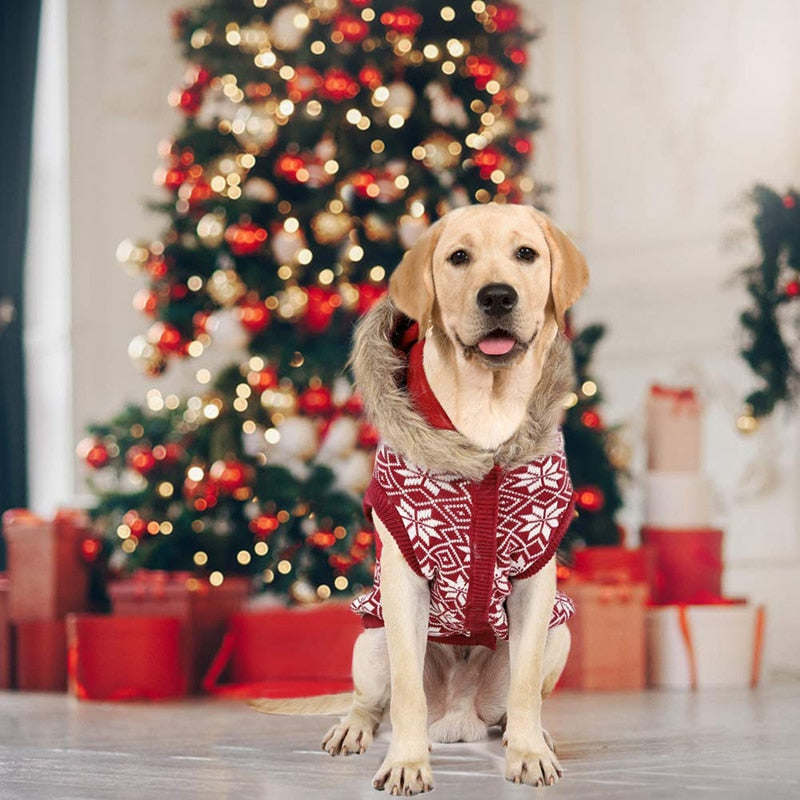 Reindeer Knitted Christmas Dog Sweater