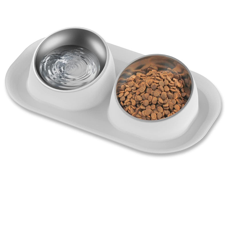 Stainless Steel Tilted Dog Feeding Bowl