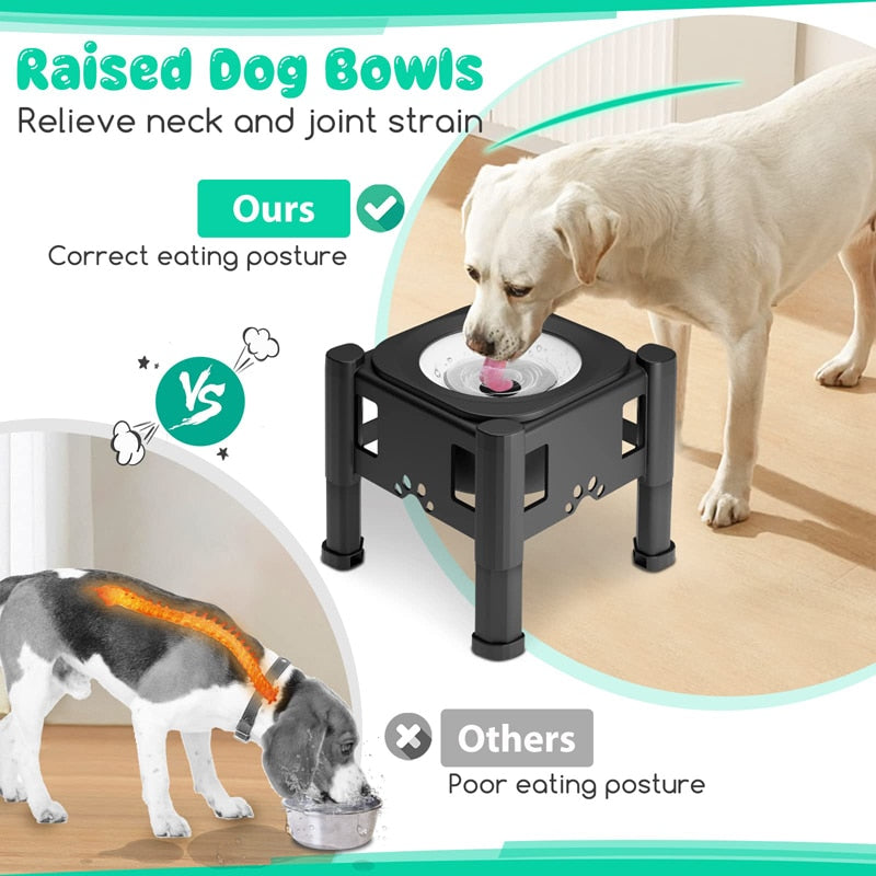 2.2L No Spill Elevated Dog Bowl