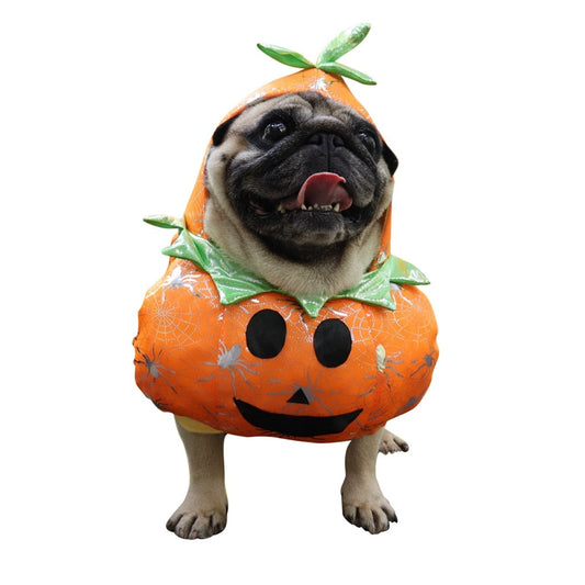 Halloween Funny Pumpkin Pets Costume