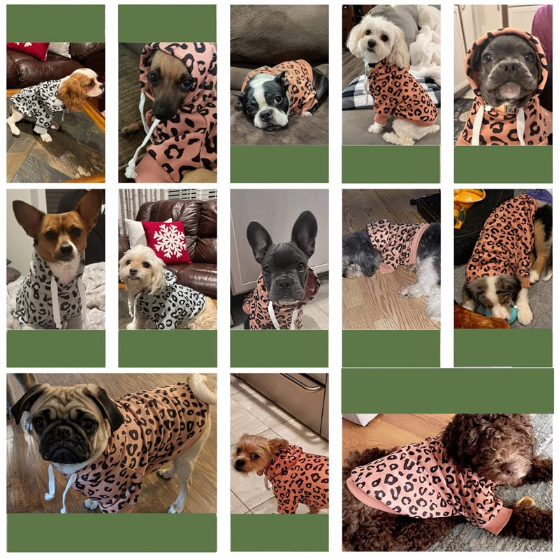 Leopard Cotton Fleece Dog Hoodies