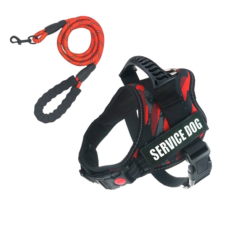 Rugged Nylon Handle Dog Harness