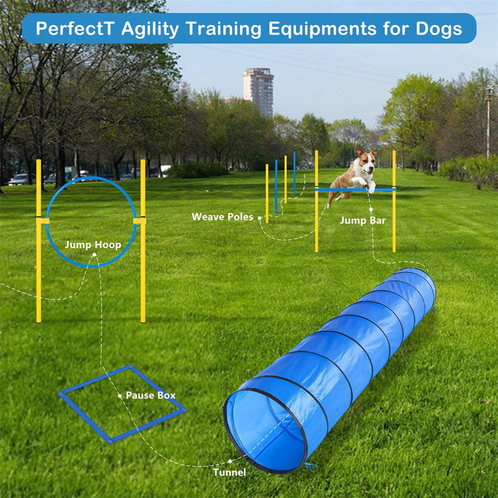 Dog Agility Obstacle Course Sets