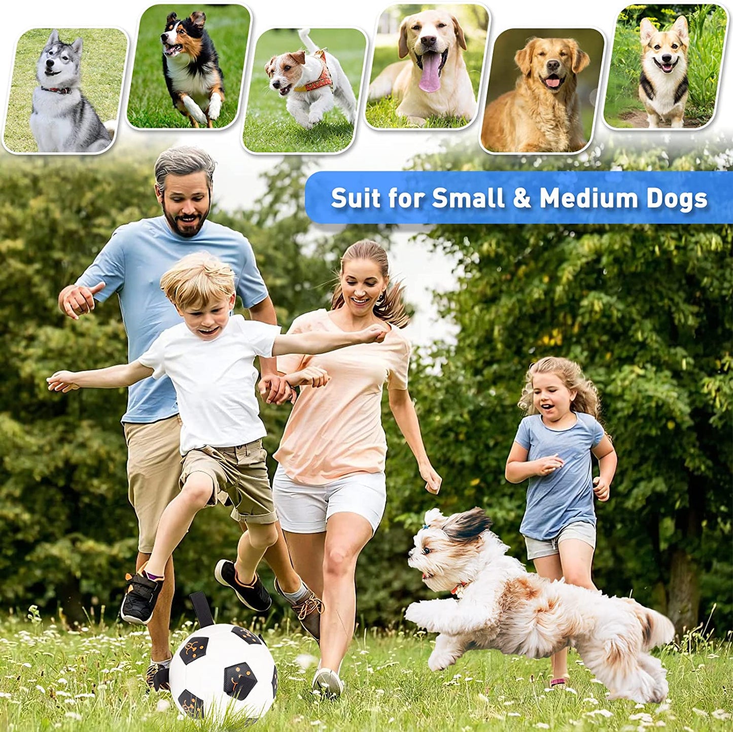 Interactive Outdoor Dog Soccer Ball