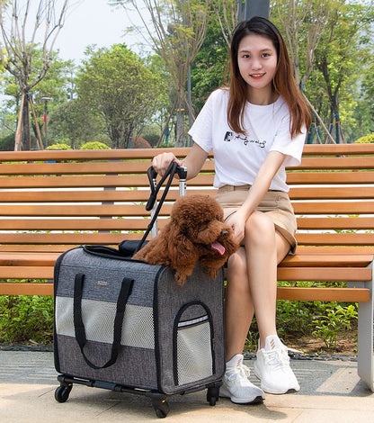 Breathable Outdoor Travel Pet Trolley