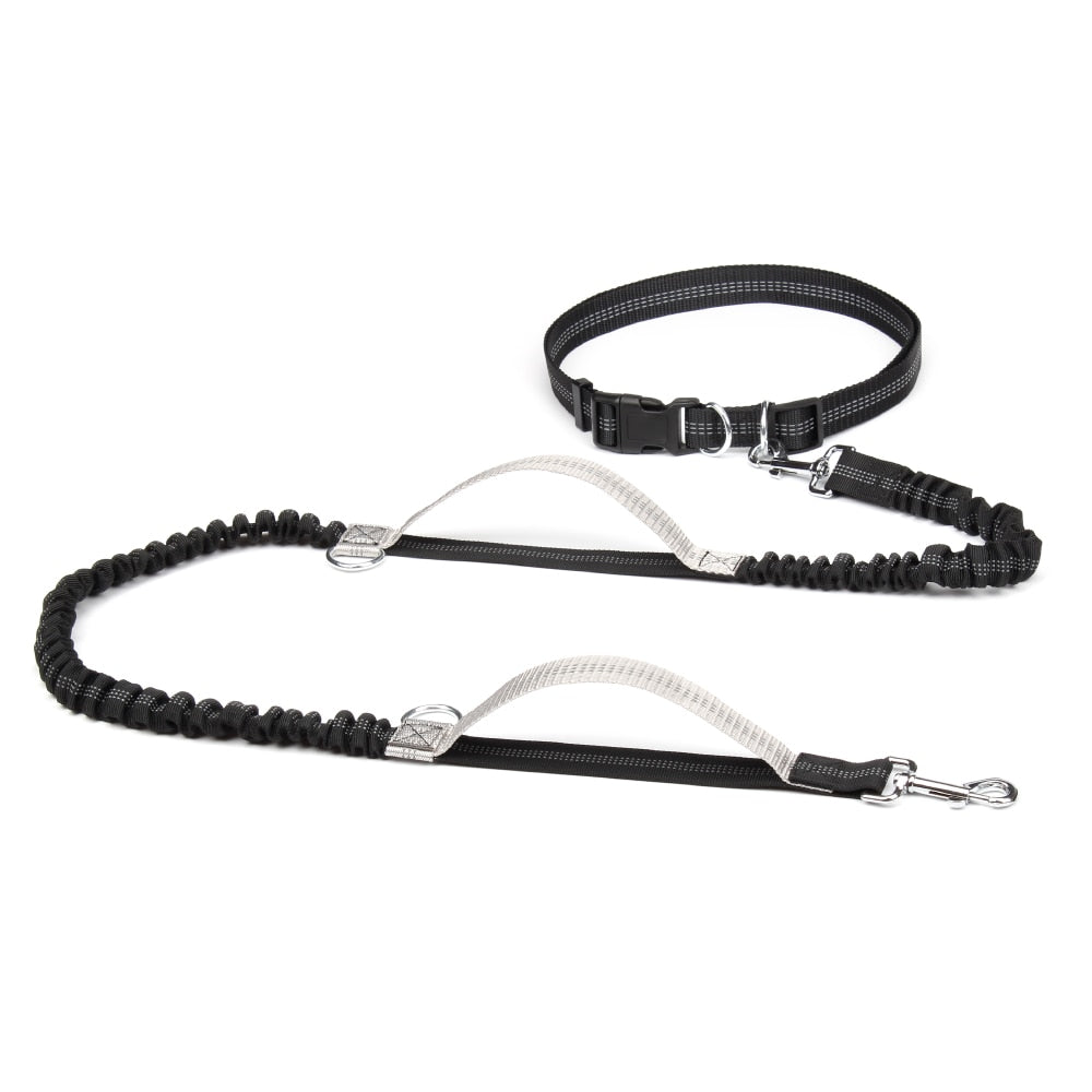 Reflective Dual Handle Bungee Dog Leash