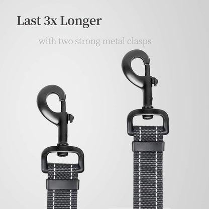 Double Extension Double Dog Leash