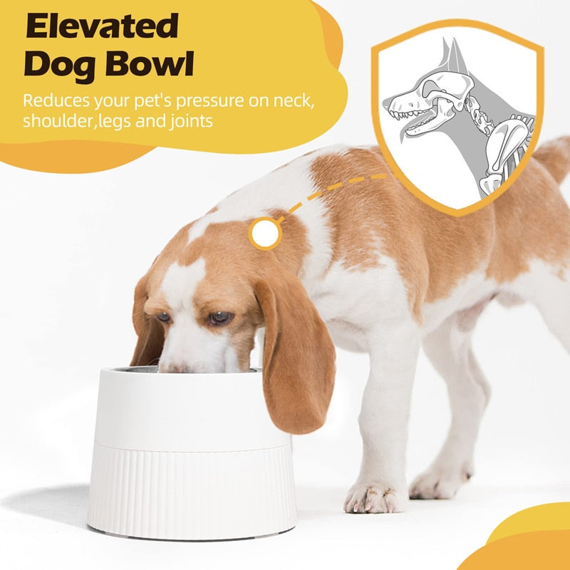 Tower Design Elevated Dog Bowl