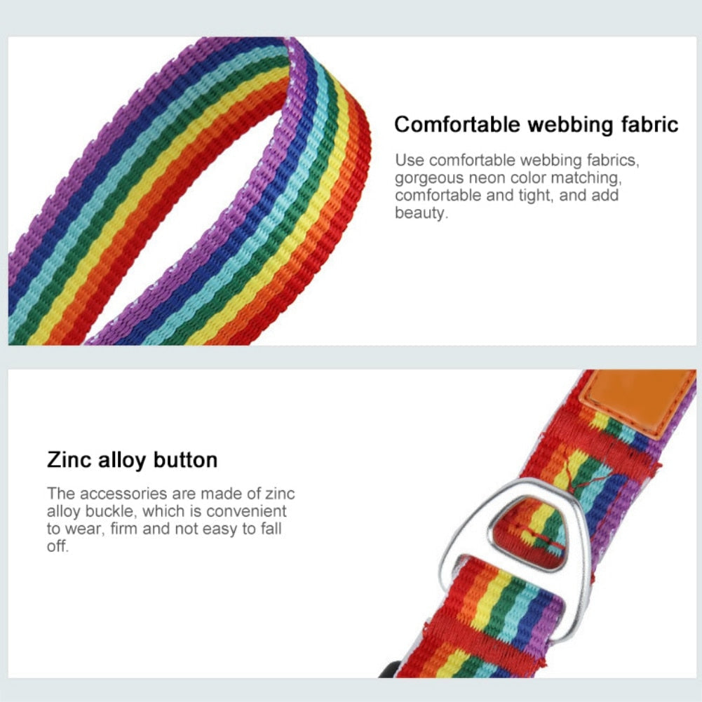 Outdoor Rainbow Dog Collar & Leash