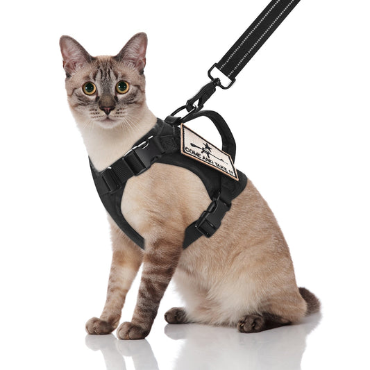 Tactical Cat Harness With Control Handle