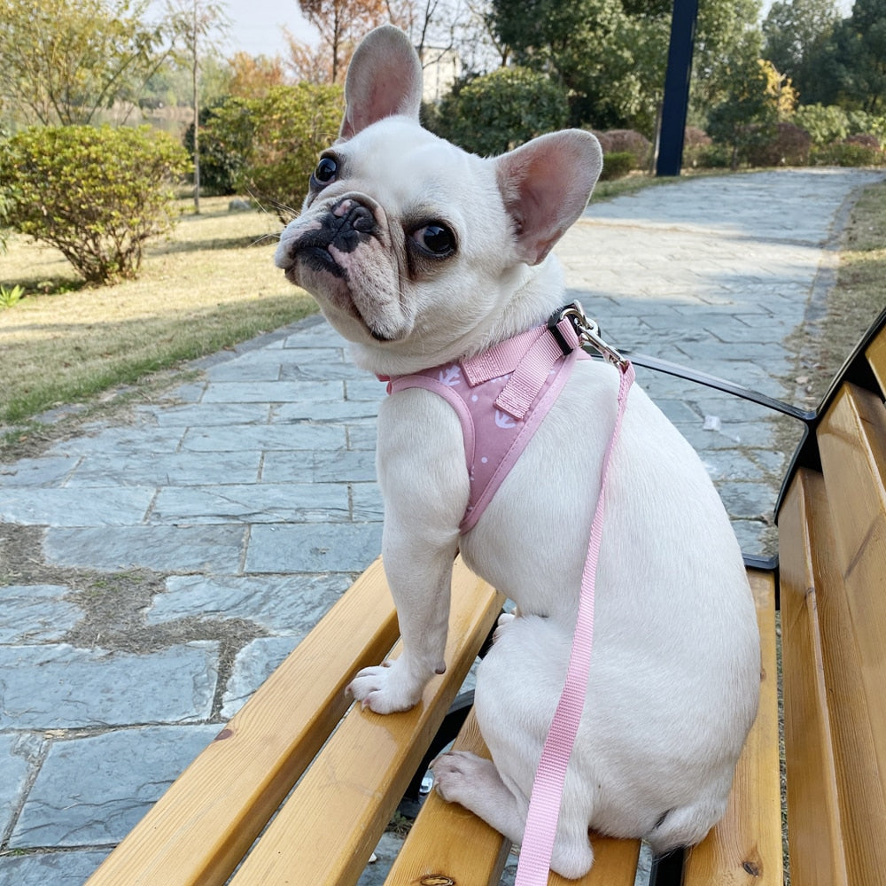 Adjustable Pet Harness With Bell