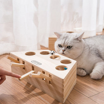 Interactive Maze Cat Funny Toys