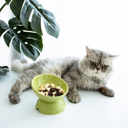 Ceramic High Foot Cat Bowl