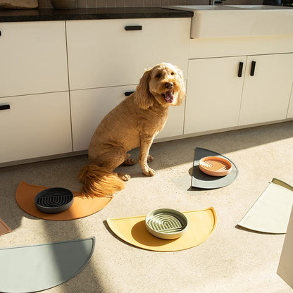 Healthy Eating Silicone Dog Puzzle Bowl