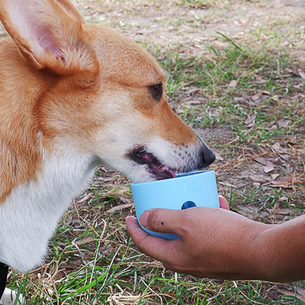 Interactive Silicone Ball Dog Toy