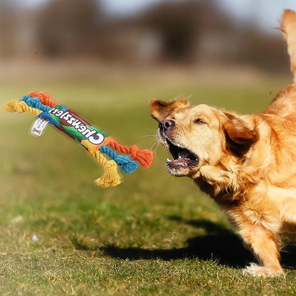 Squeaky Rainbow Candy Shaped Dog Toy