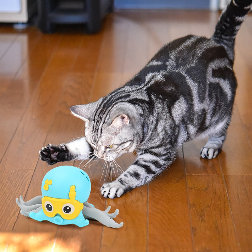 Interactive Octopus Cat Toys