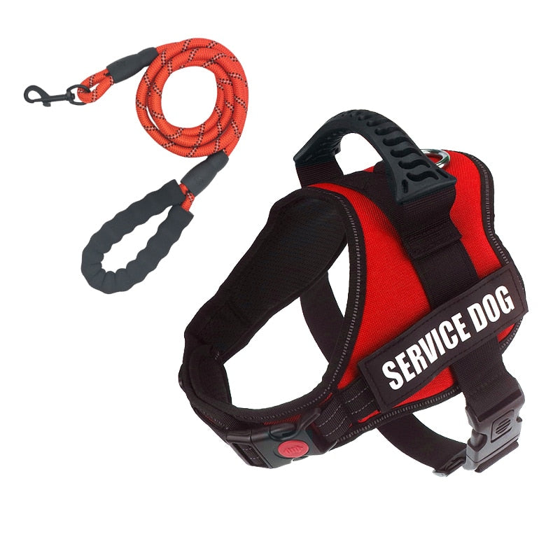 Rugged Nylon Handle Dog Harness