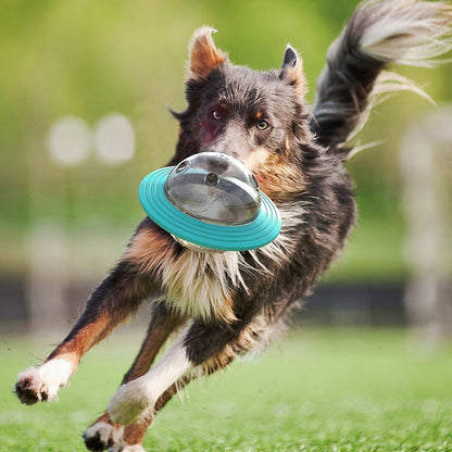 Flying Saucer Dog Slow Feeder Toys