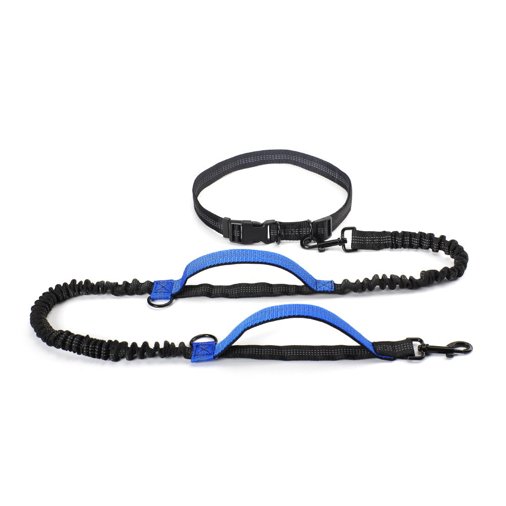 Reflective Dual Handle Bungee Dog Leash