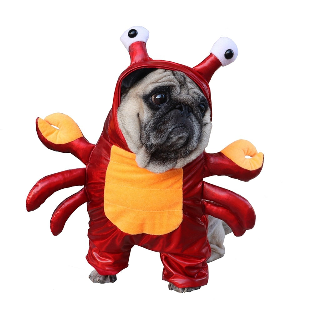 Halloween Red Crab Pets Costume