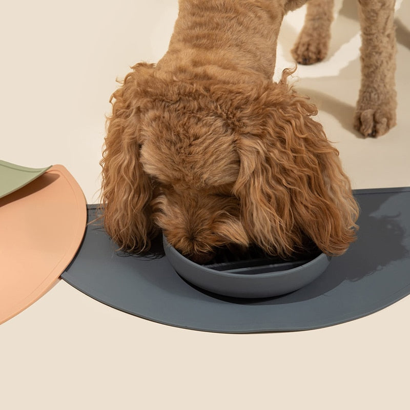 Healthy Eating Silicone Dog Puzzle Bowl