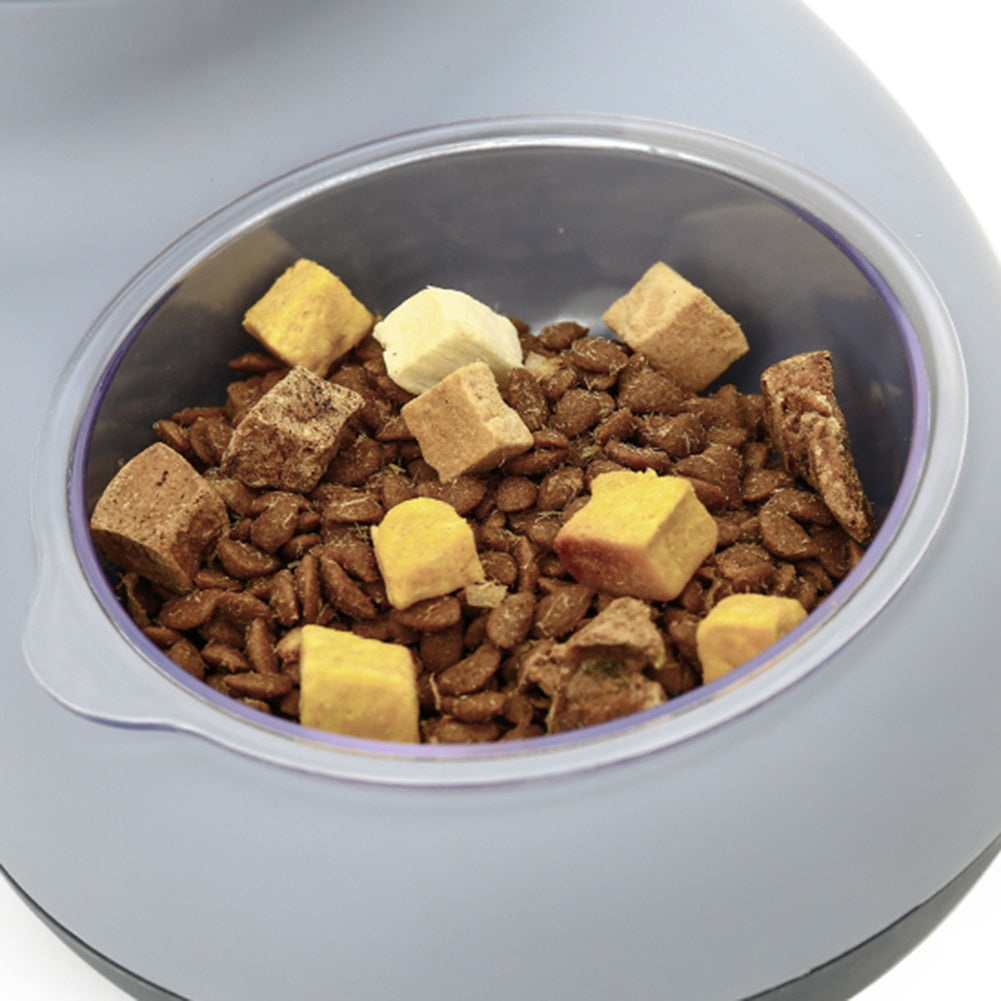 Siphon Principle Automatic Pet Feeder