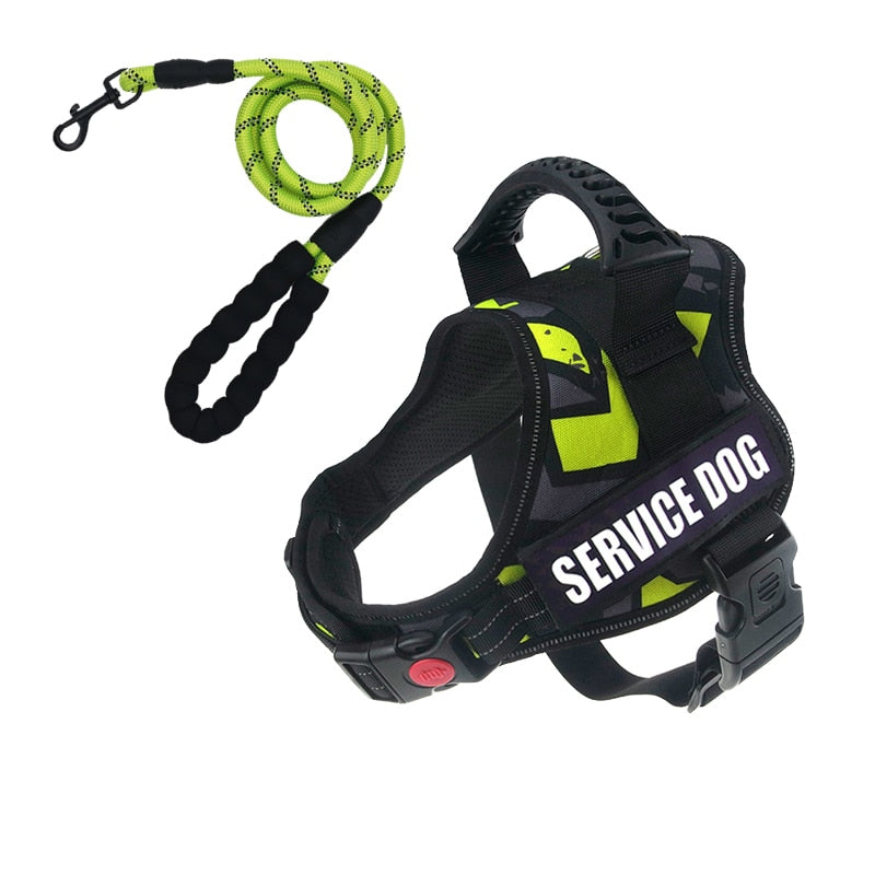 Rugged Nylon Handle Dog Harness