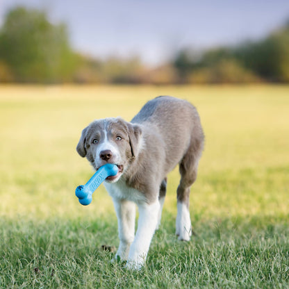 Puppy Goodie Bone Toy