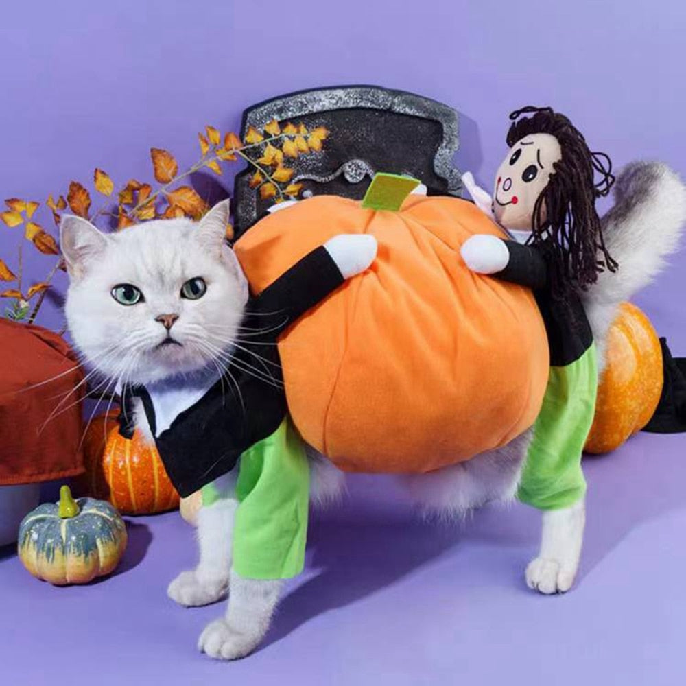 Funny Pumpkin Cosplay Pet Costume