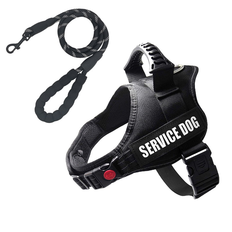 Rugged Nylon Handle Dog Harness